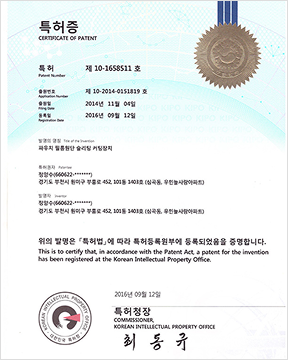 ������ ����