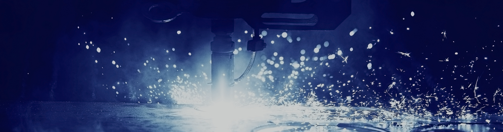 Ʈ���ֿ��δ� ���� �̹���